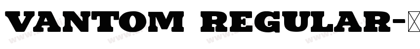 Vantom Regular字体转换